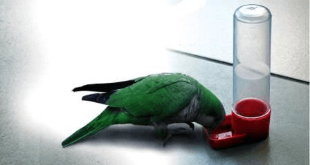 Задание рисунок 1