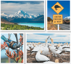 Задание рисунок 2