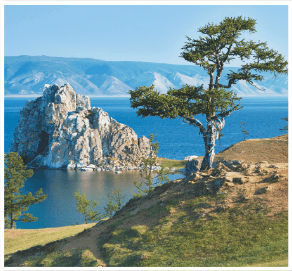 Задание рисунок 6