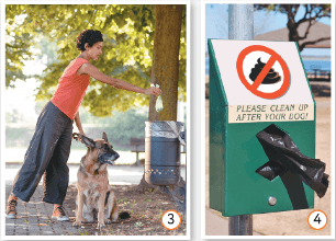 Задание рисунок 3