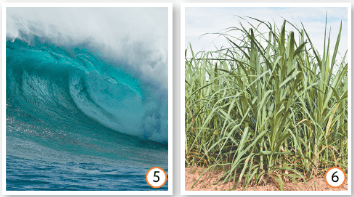 Задание рисунок 3