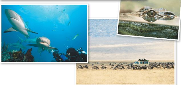 Задание рисунок 3