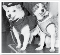 Задание рисунок 1