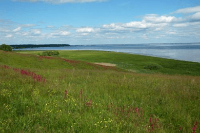 Решение рисунок 2