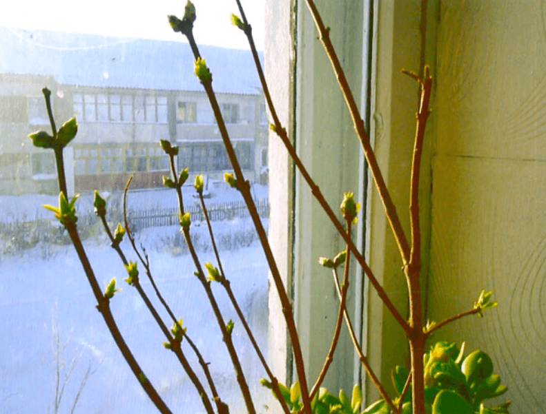 Решение рисунок 1