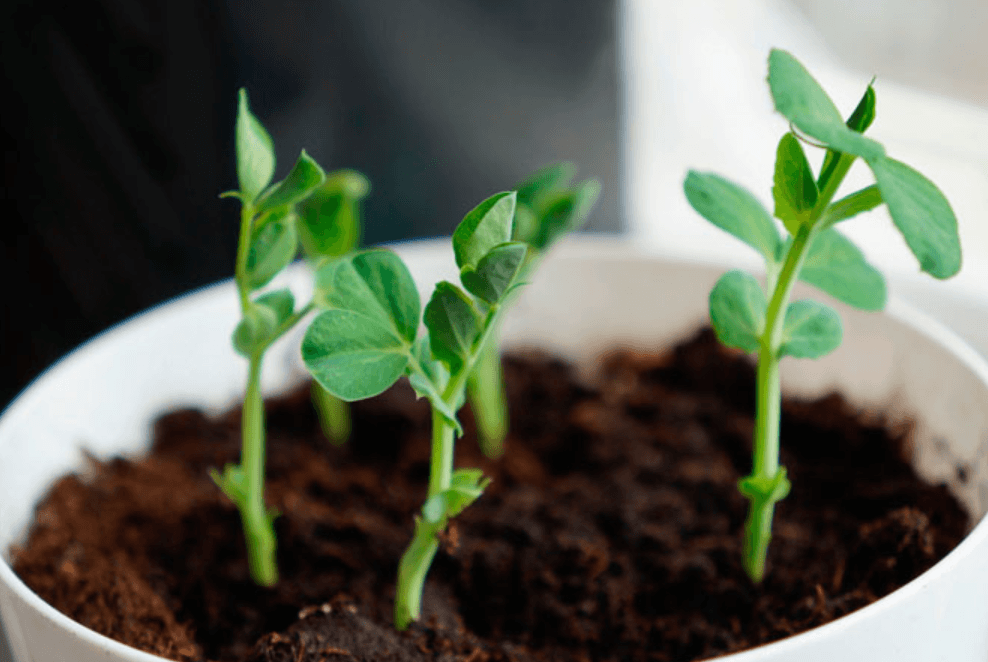 Решение рисунок 1