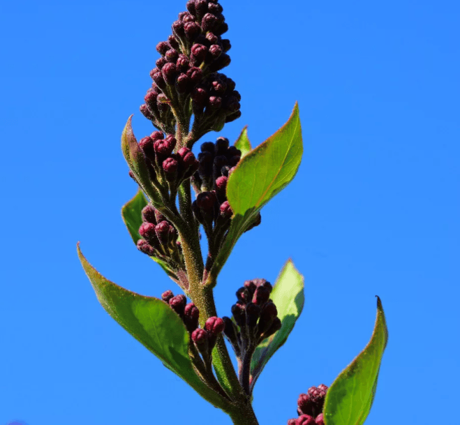 Решение рисунок 3