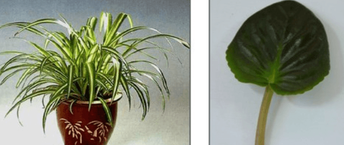 Решение рисунок 3