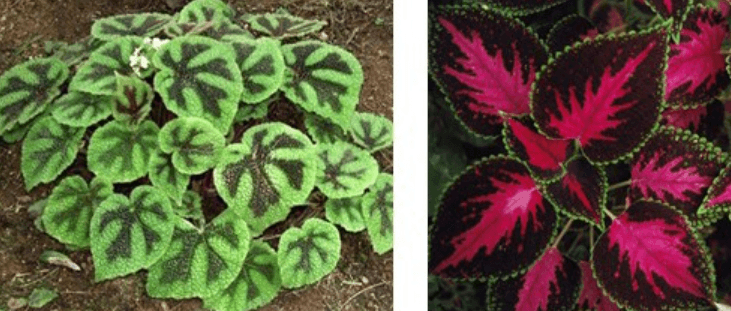 Решение рисунок 4