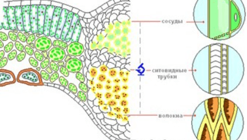 Решение рисунок 1