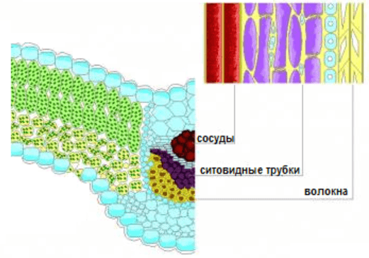 Решение рисунок 2