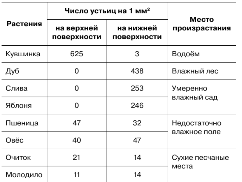 Задание рисунок 1