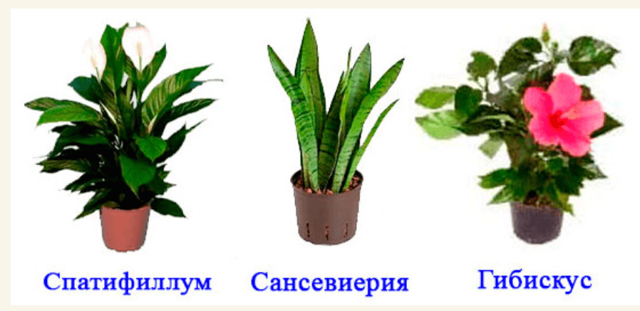 Решение рисунок 1