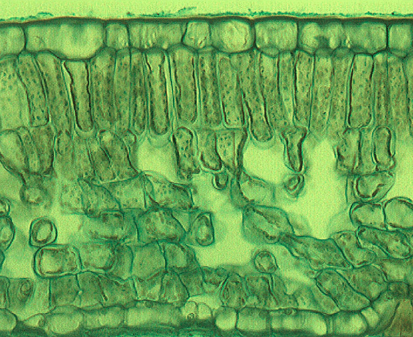 Решение рисунок 4