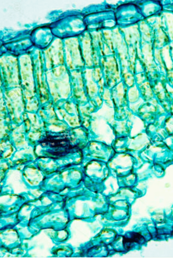 Решение рисунок 5