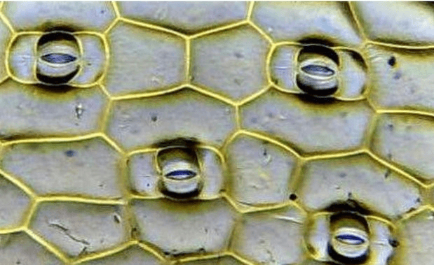 Решение рисунок 2