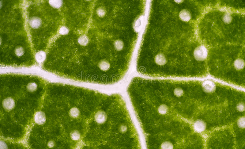 Решение рисунок 3