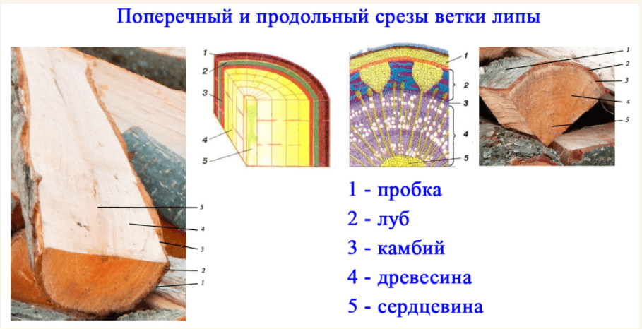 Решение рисунок 2