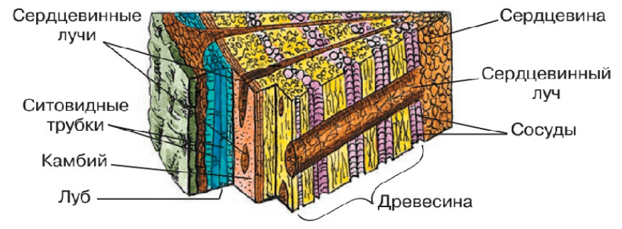 Решение рисунок 3
