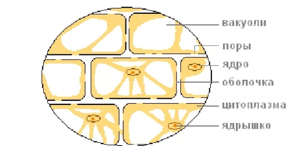 Решение рисунок 2