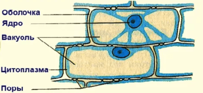 Решение рисунок 3