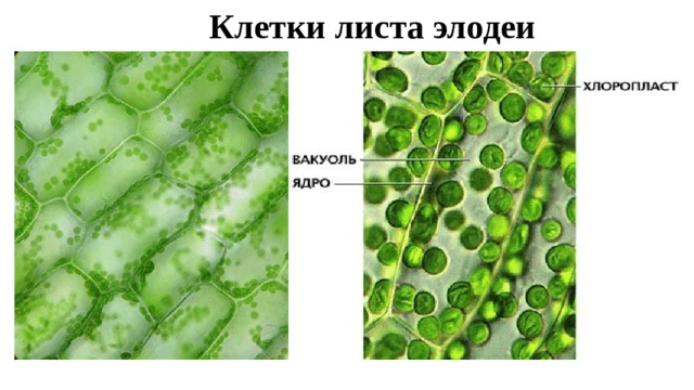 Решение рисунок 2