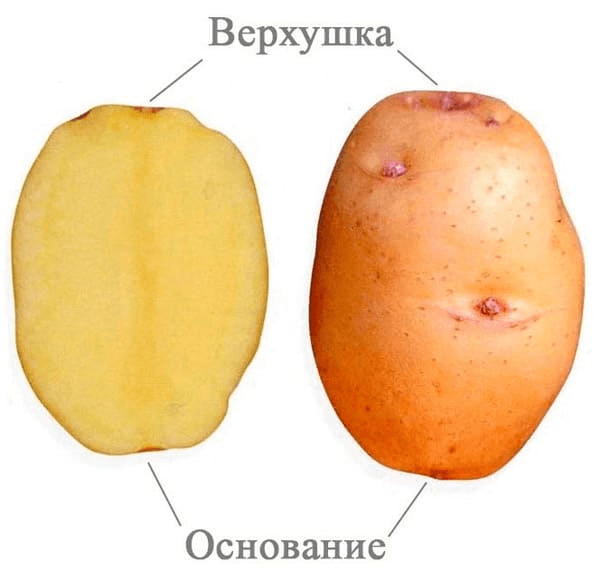 Решение рисунок 1