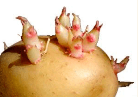 Решение рисунок 2