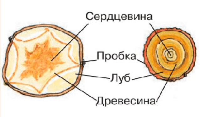 Решение рисунок 3