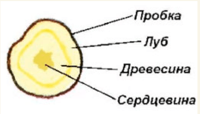 Решение рисунок 4