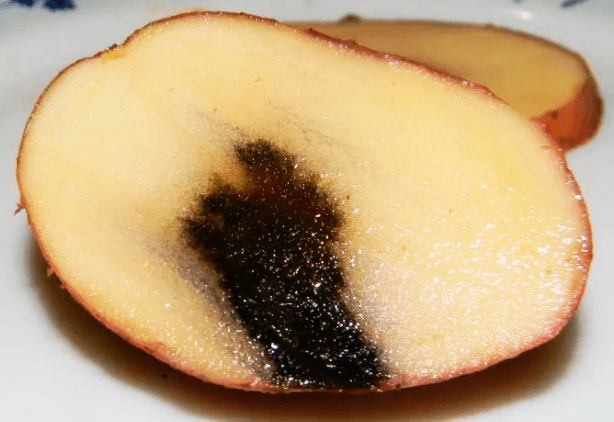 Решение рисунок 5