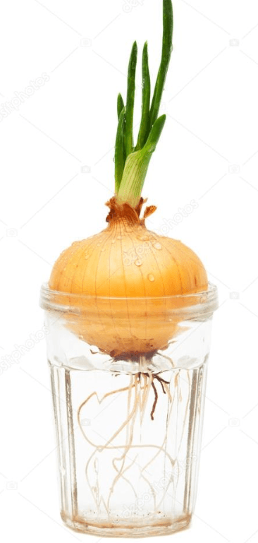 Решение рисунок 1