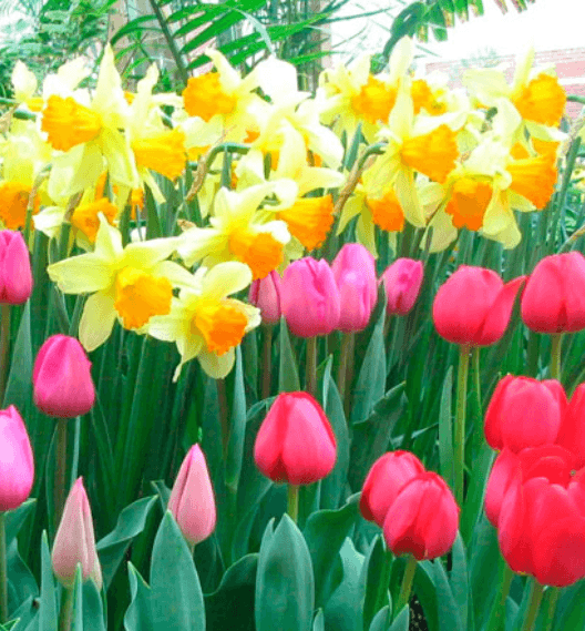 Решение рисунок 1