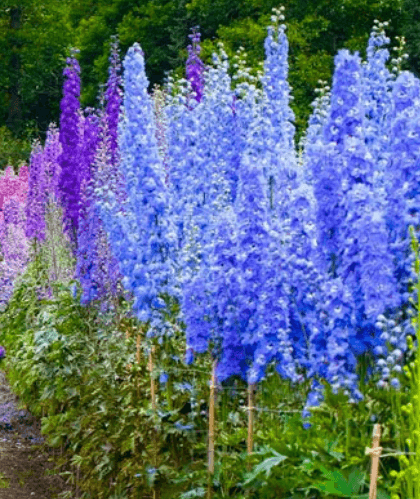 Решение рисунок 2