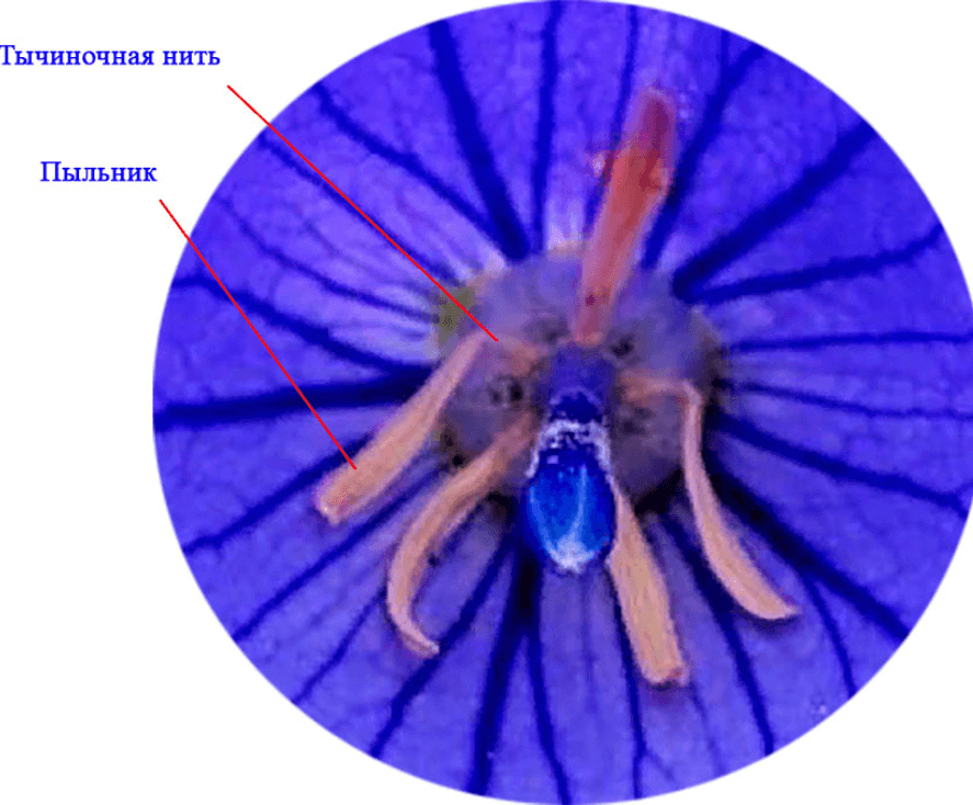 Решение рисунок 3