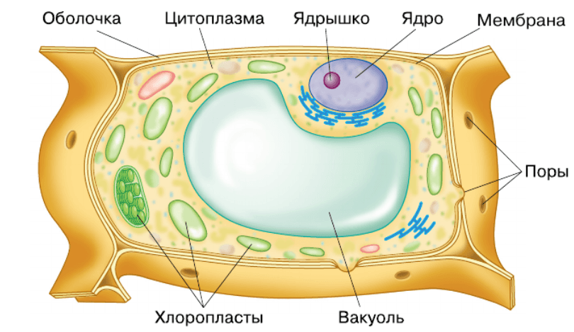 Решение рисунок 1