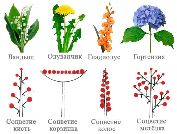 Решение рисунок 3