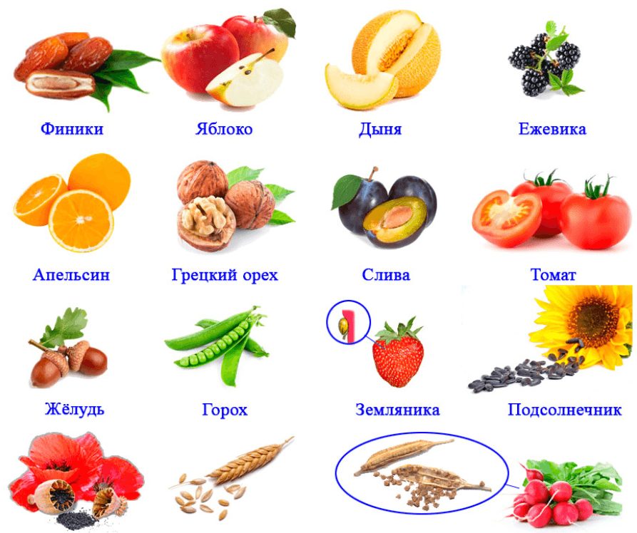 Решение рисунок 1