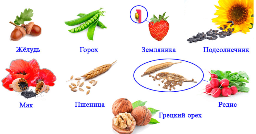 Решение рисунок 3