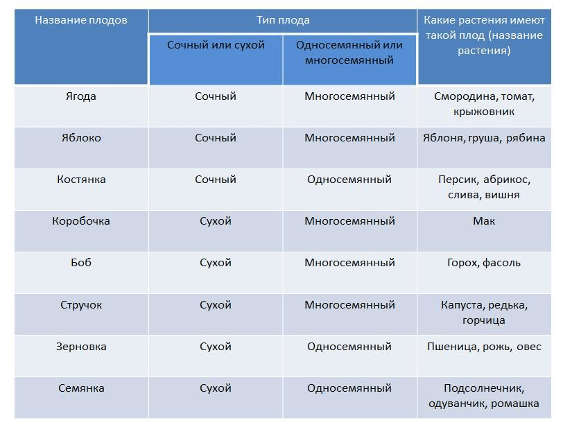 Решение рисунок 4