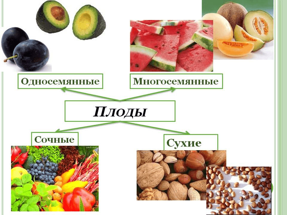 Решение рисунок 1