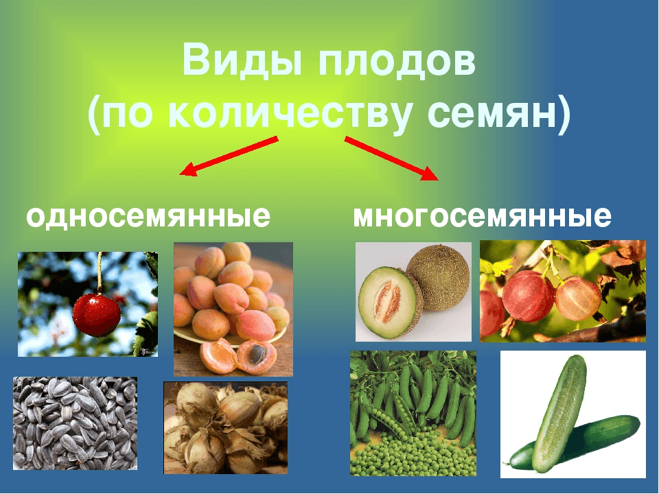 Решение рисунок 3