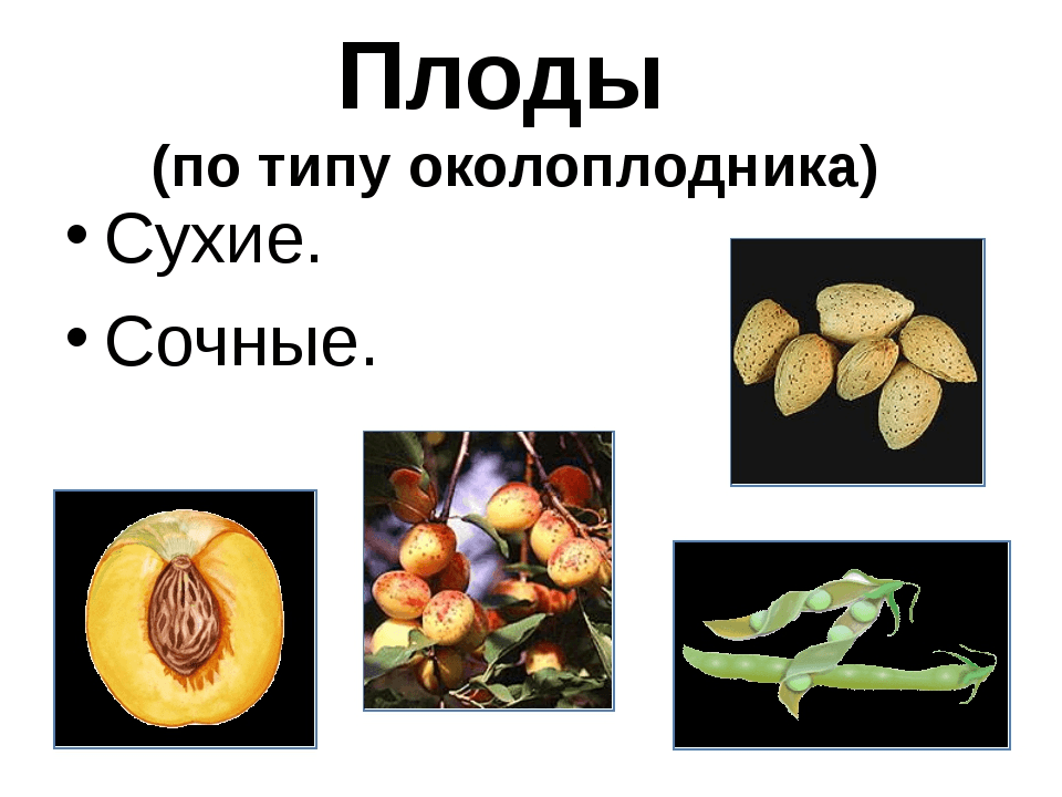 Решение рисунок 2