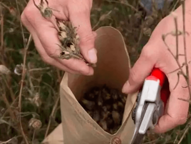 Решение рисунок 2