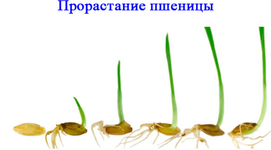 Решение рисунок 3