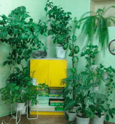 Решение рисунок 1