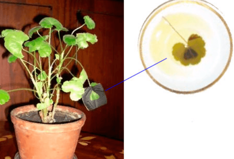 Решение рисунок 1