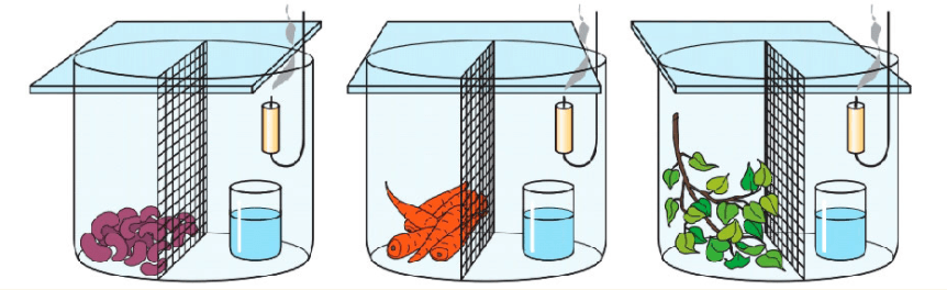 Решение рисунок 1