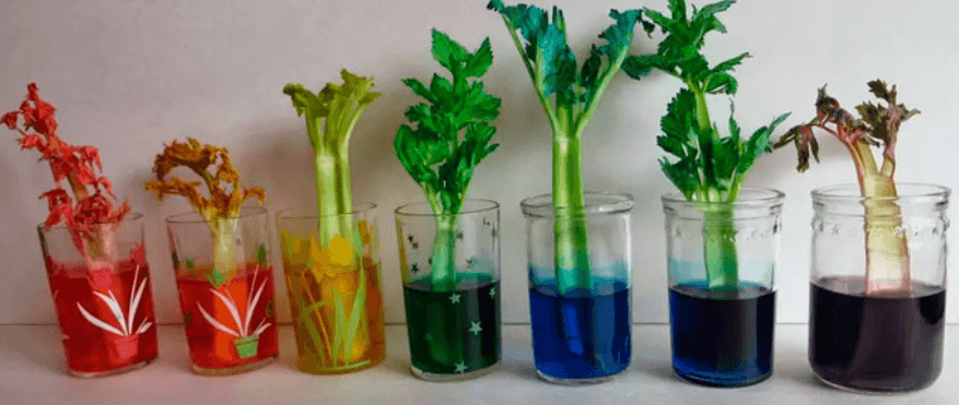 Решение рисунок 2