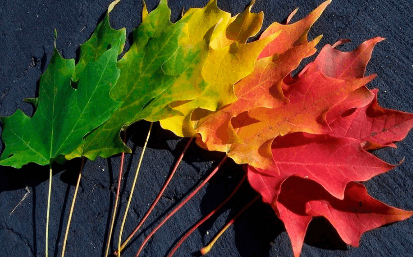 Решение рисунок 2